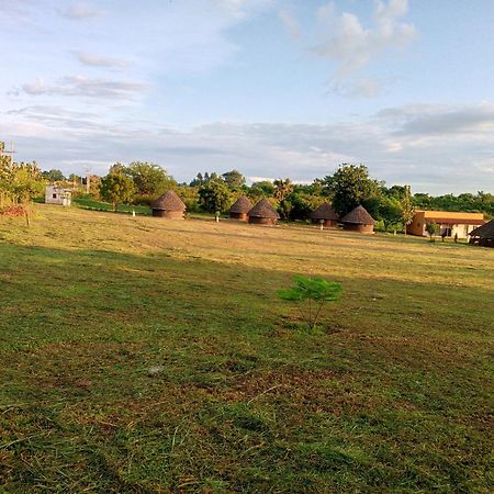 Grassroots Cottages Murchsion Falls Purongo Exteriör bild