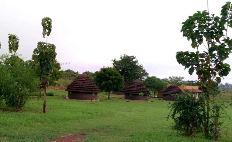 Grassroots Cottages Murchsion Falls Purongo Exteriör bild