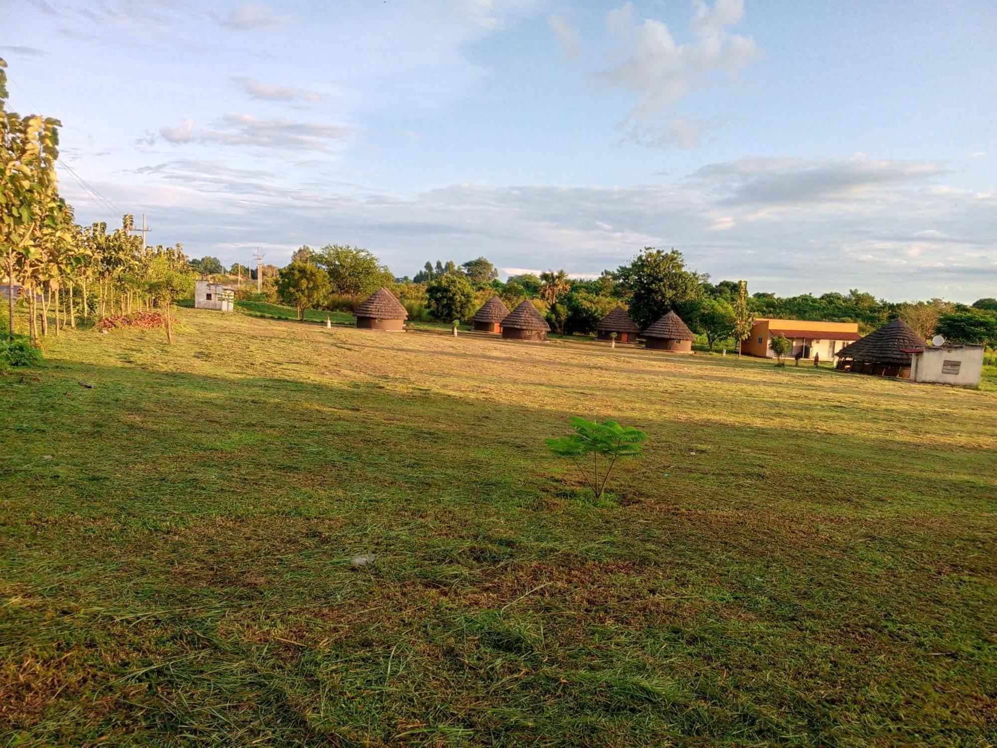 Grassroots Cottages Murchsion Falls Purongo Exteriör bild